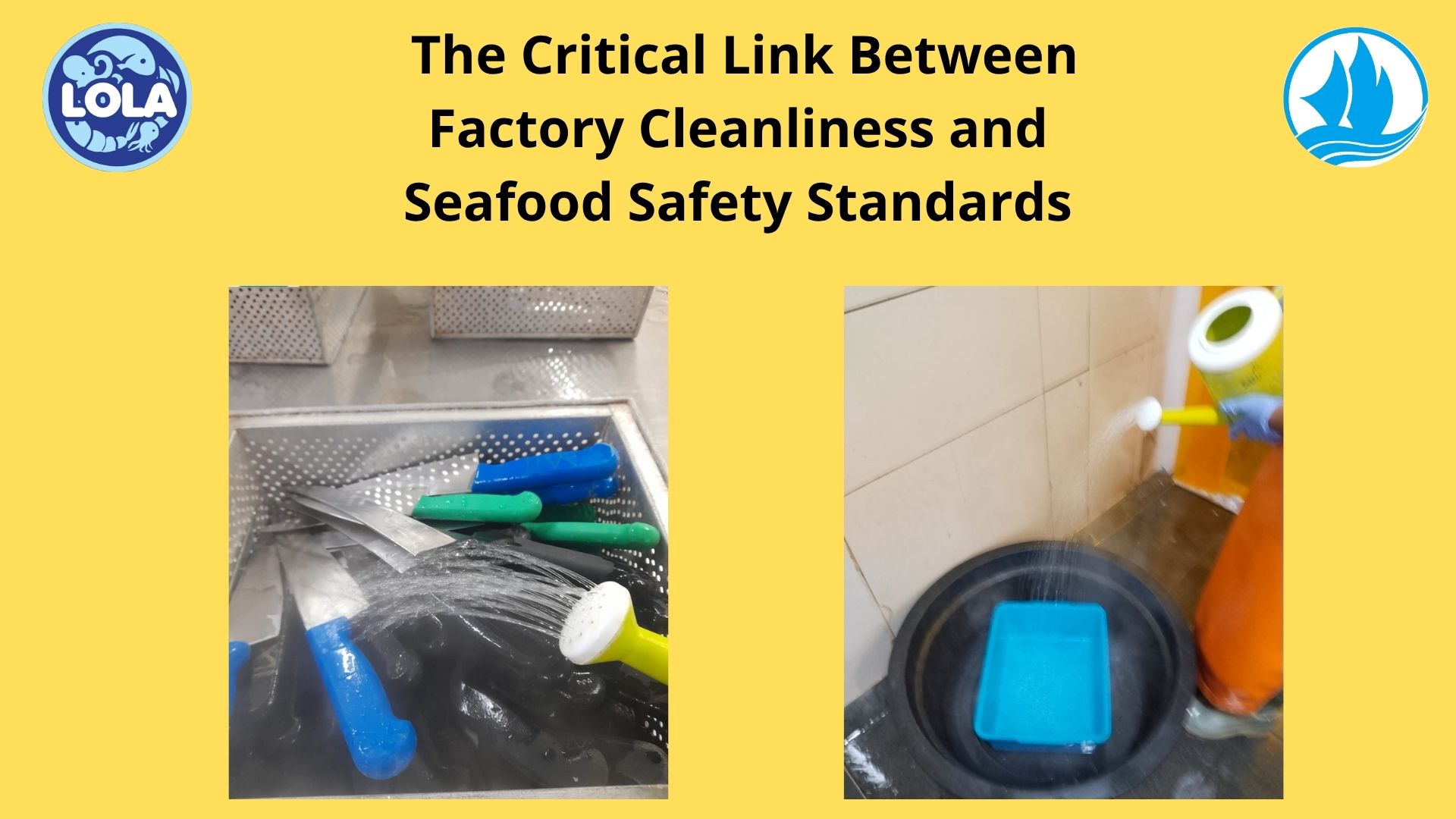  The Critical Link Between Factory Cleanliness and Seafood Safety Standards